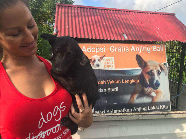 barc-bali-dog-refuge-bali-dog-and-adoption-centre-team_adoption-day-2